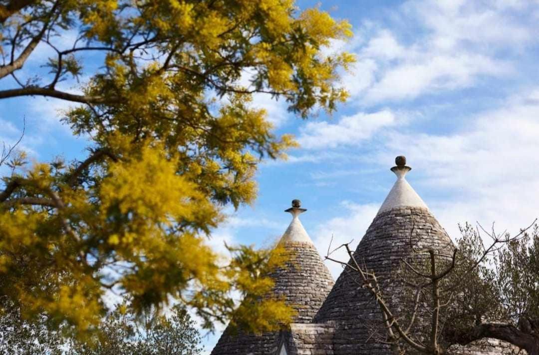 Trulli Azzalema With Exclusive Pool Villa บรินดิซิ ภายนอก รูปภาพ